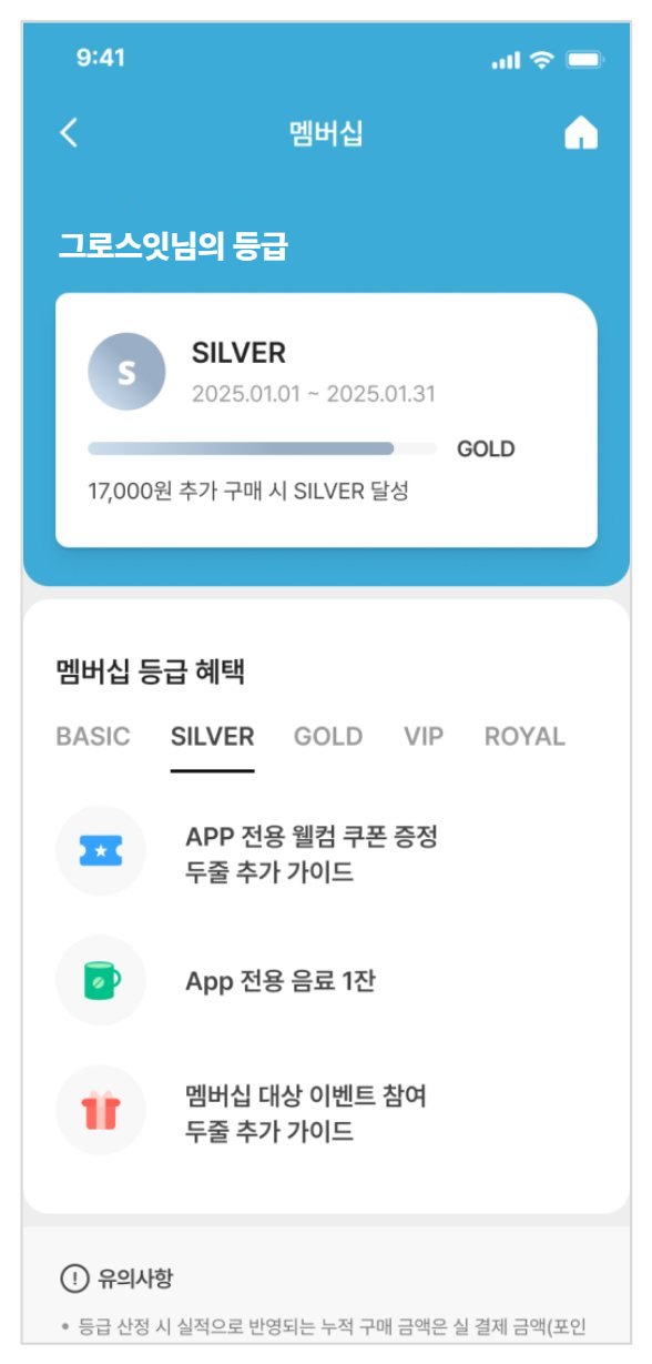 C안 5개 등급 화면
